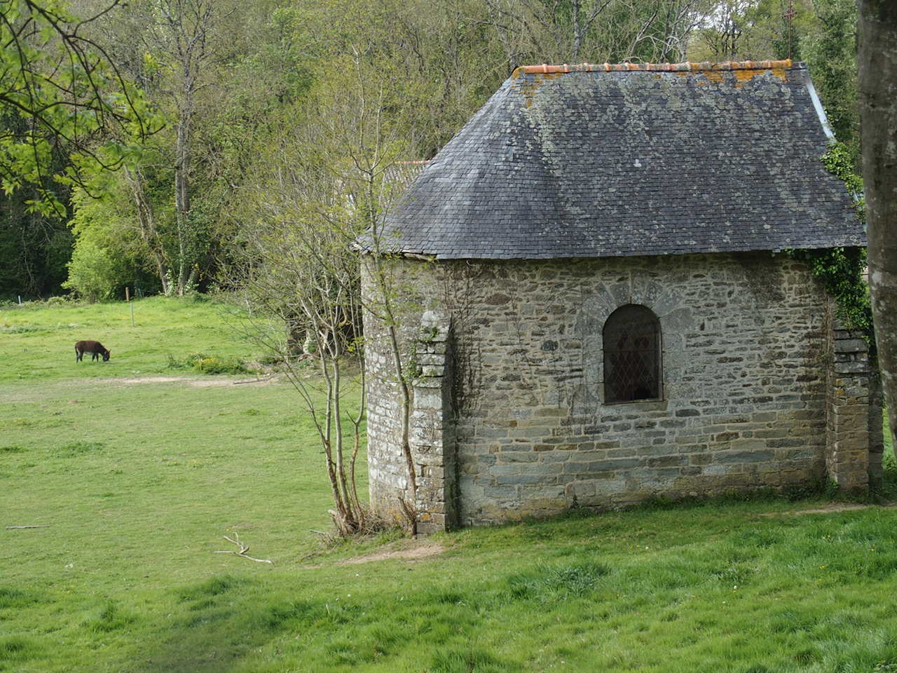 Aucune photo pour cette étape.